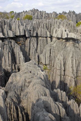 Stone Forest, Madagascar3